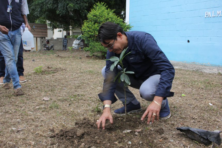 Lee más sobre el artículo SRS Cibao Norte impulsa jornada de siembra de árboles frutales en CPN de Santiago